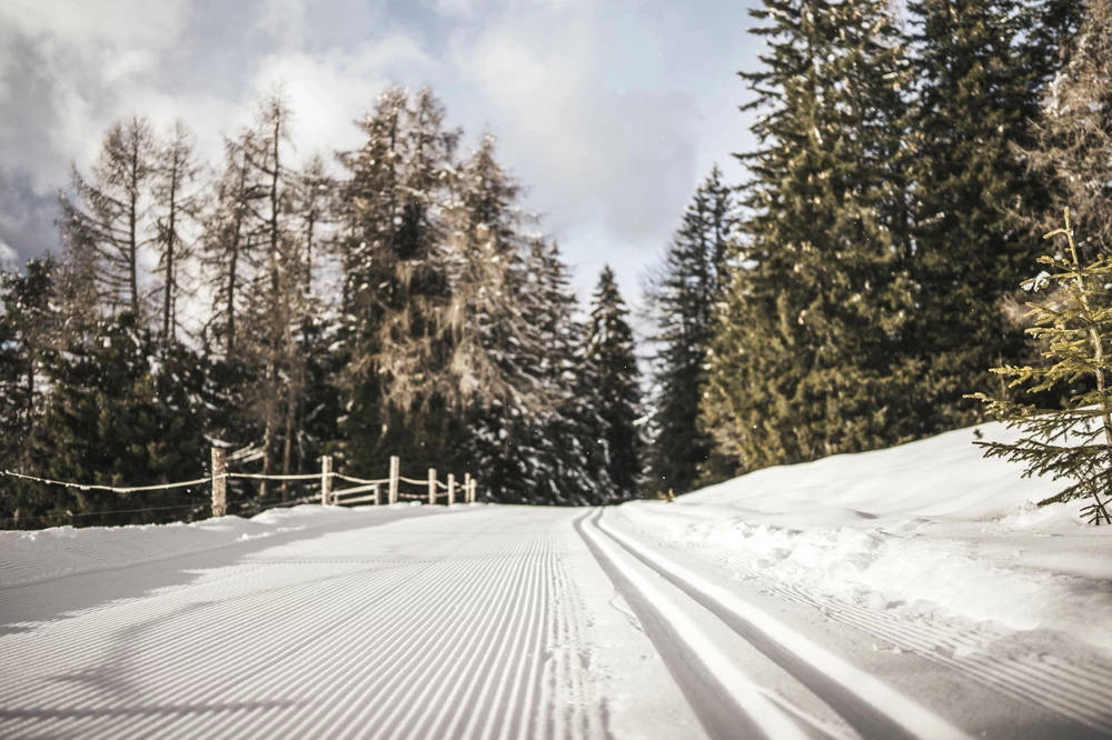 img c hannes niederkoflerweb 0451.jpg